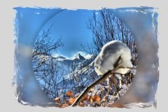 Winterlandschaft
